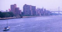 Sailing around New York City gives you many views of the skyline.