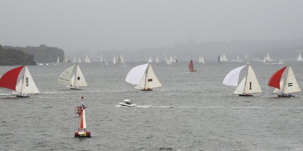 Regatta