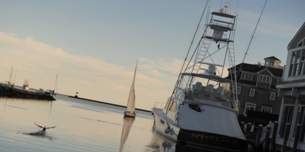 Boats For Sale