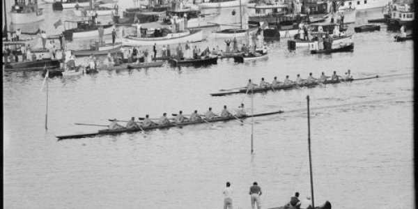 Regatta