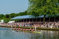 The Grandstand