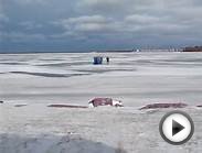 076.MOV Erie Yacht Club, Erie Pa, Ice Fishermen-Erie Bay