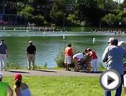 2013 Royal Canadian Henley Regatta