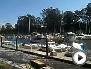 Amazing footage of tsunami surge in Santa Cruz Yacht Harbor