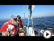 Marina Del Rey Sailing TL
