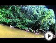 Point of view from the old Henryton Rope swing - Patapsco